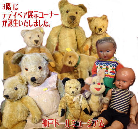 ◆神戸ドールミュージアム3階に、テディベアコーナーが誕生しました◆